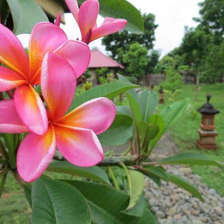 فندق Tegal Sari, Pemuteran- North Bali المظهر الخارجي الصورة