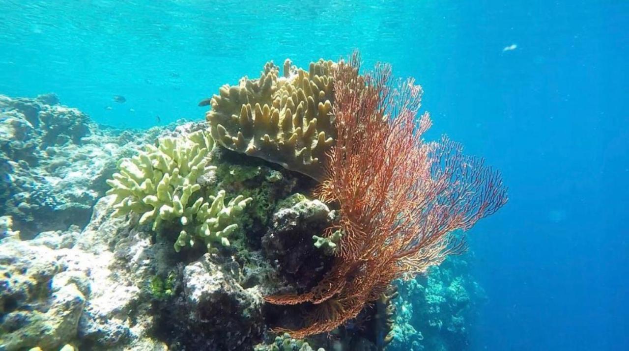 فندق Tegal Sari, Pemuteran- North Bali المظهر الخارجي الصورة