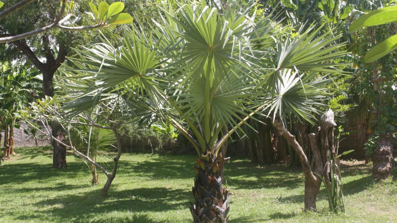 فندق Tegal Sari, Pemuteran- North Bali المظهر الخارجي الصورة