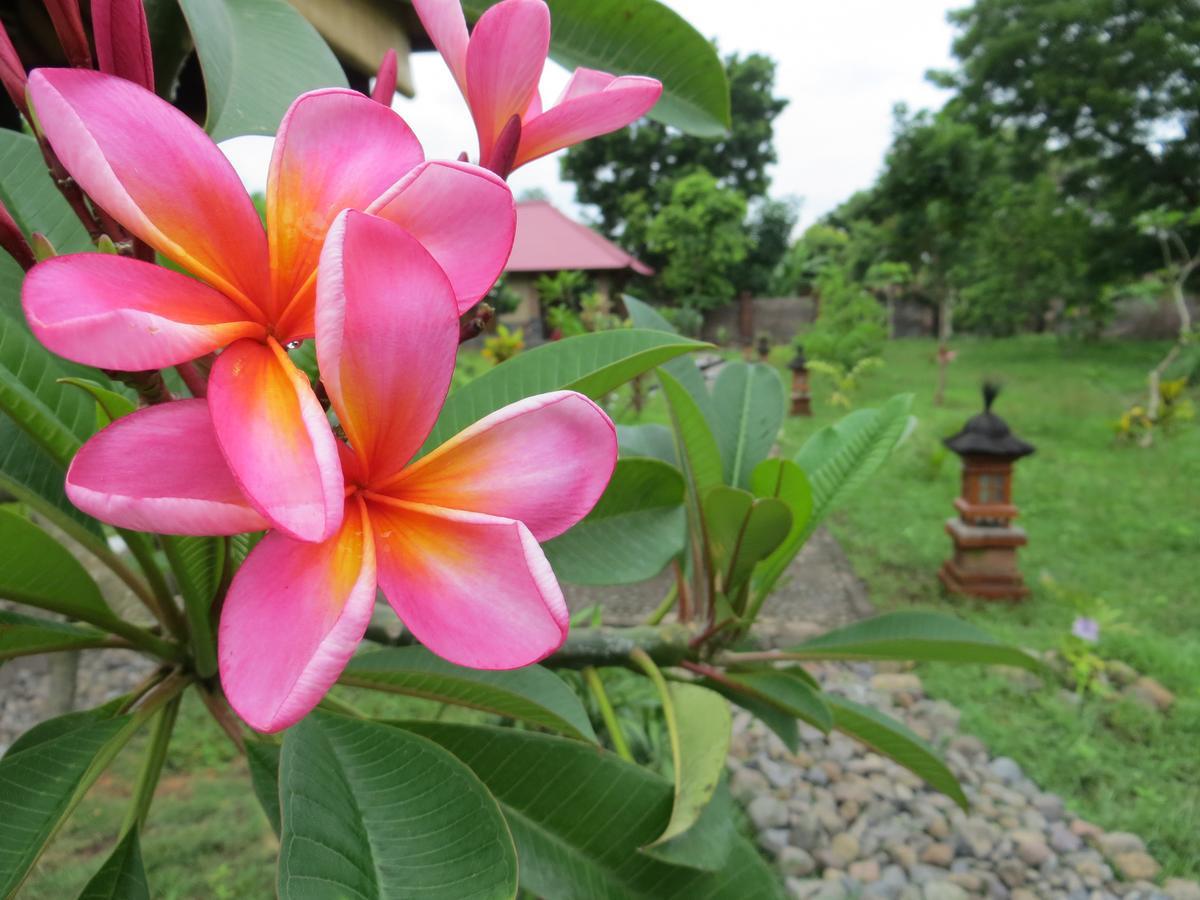 فندق Tegal Sari, Pemuteran- North Bali المظهر الخارجي الصورة