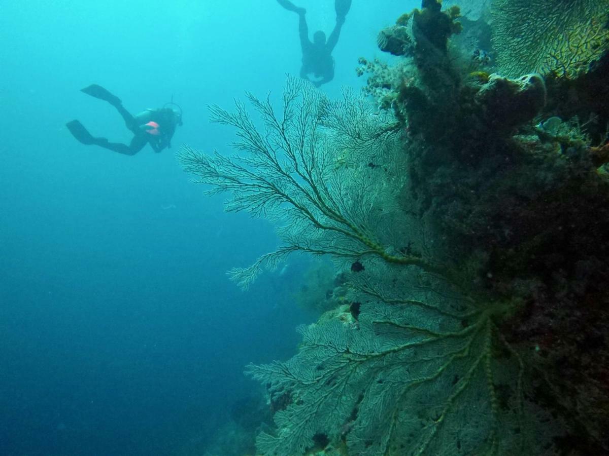 فندق Tegal Sari, Pemuteran- North Bali المظهر الخارجي الصورة