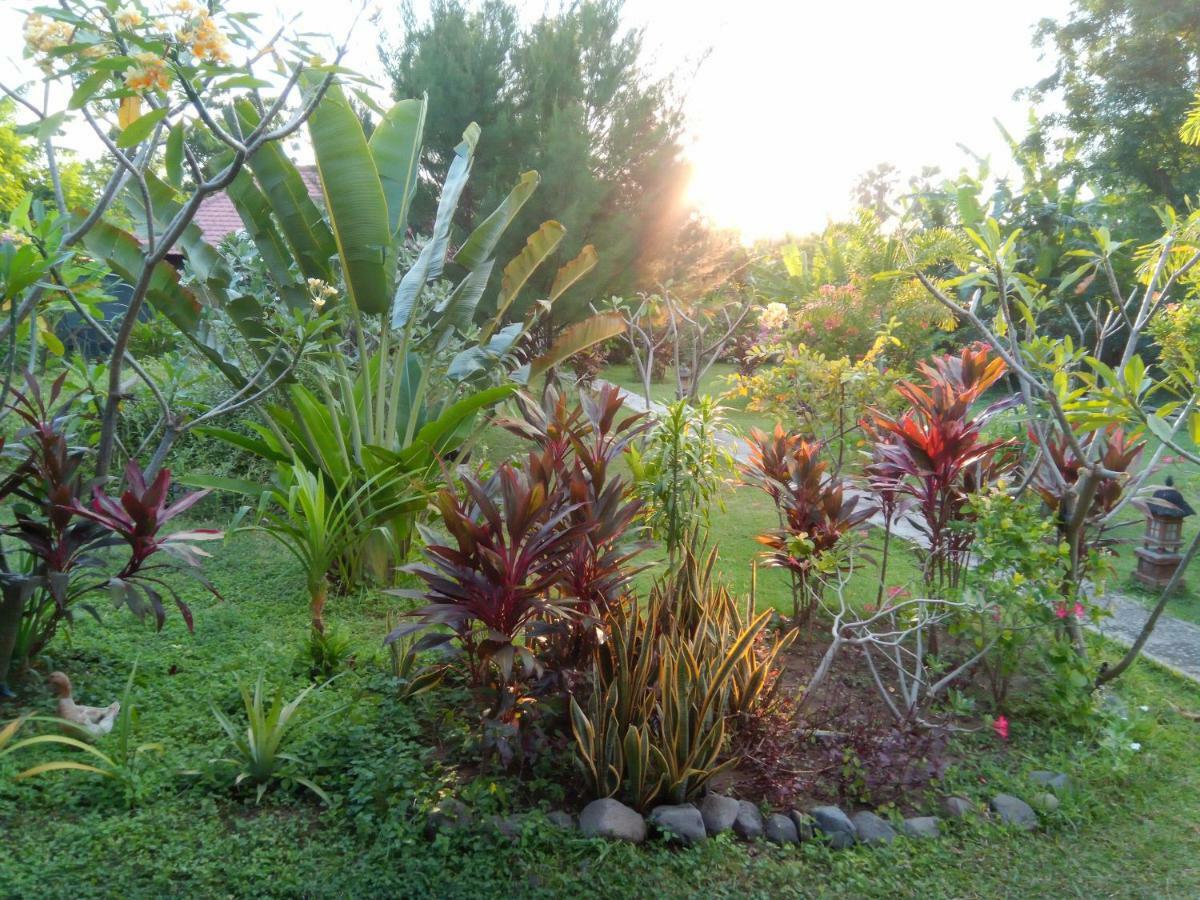 فندق Tegal Sari, Pemuteran- North Bali المظهر الخارجي الصورة