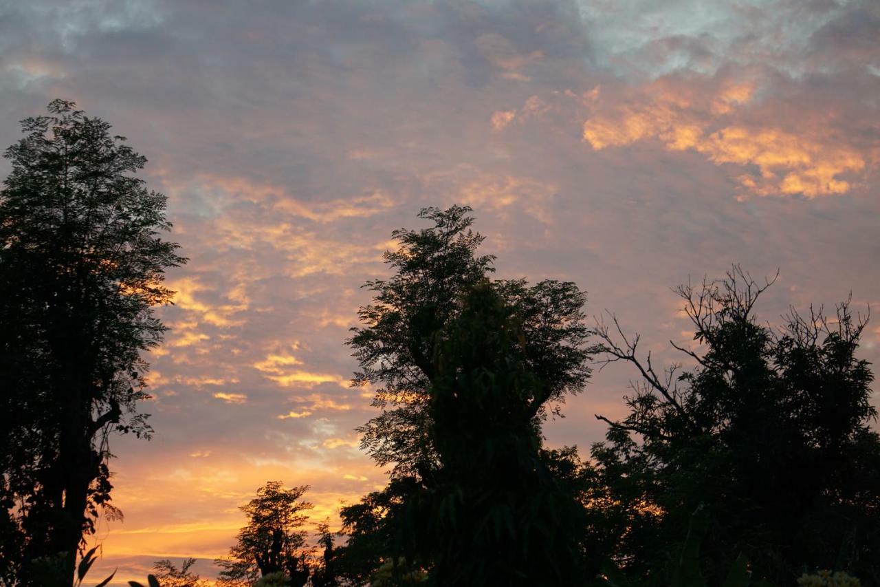 فندق Tegal Sari, Pemuteran- North Bali المظهر الخارجي الصورة