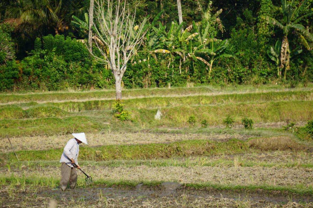 فندق Tegal Sari, Pemuteran- North Bali المظهر الخارجي الصورة