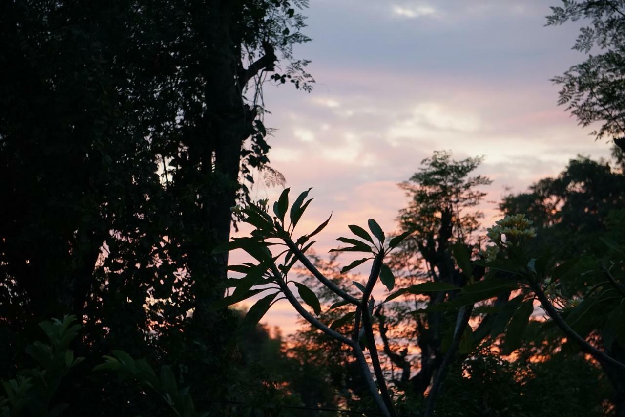 فندق Tegal Sari, Pemuteran- North Bali المظهر الخارجي الصورة