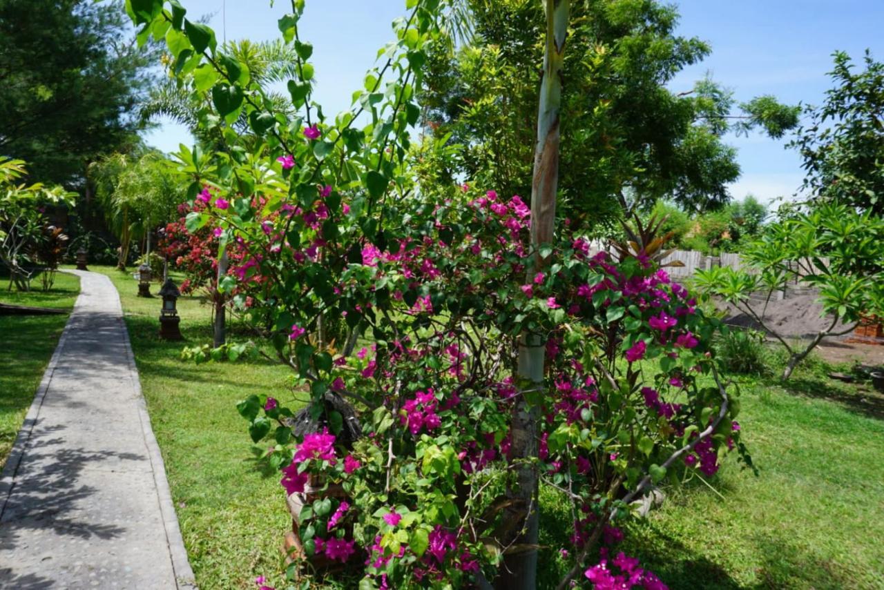 فندق Tegal Sari, Pemuteran- North Bali المظهر الخارجي الصورة